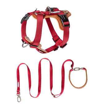 Discover the Ultimate in Pet Safety and Comfort with Our Explosion Proof Pet Rope Leash and Chest Strap