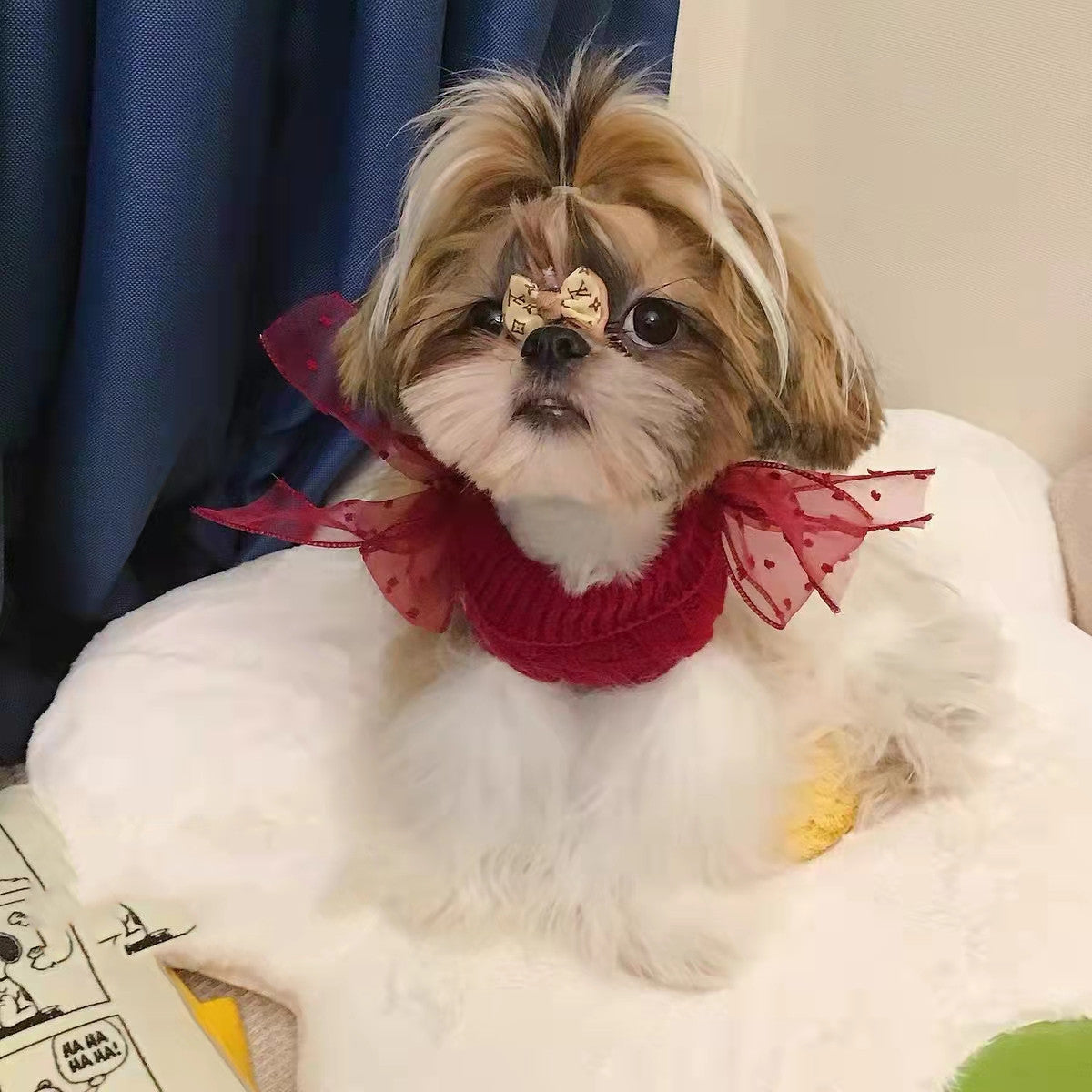 Why Your Pet Deserves the Pet Super Cute Sweater Warm In The New Year