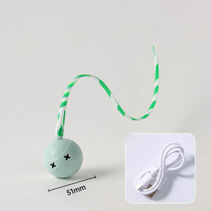 Engaging Playtime for Your Furry Friends