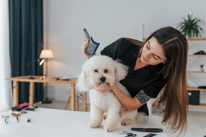 EASY PET GROOMING FOR HEALTHY LIVING