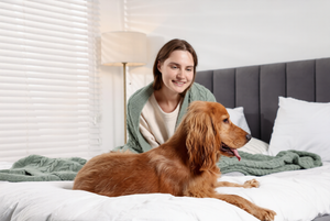 COMFORTABLE PET BEDS FOR BETTER SLEEP
