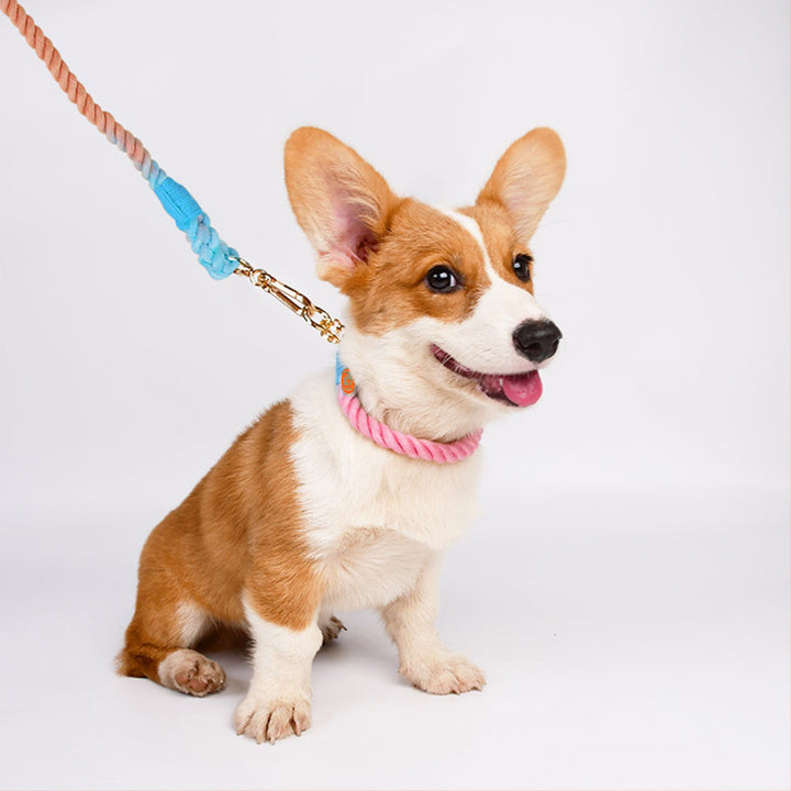 Woven Cotton Pet Collar And Leash Set