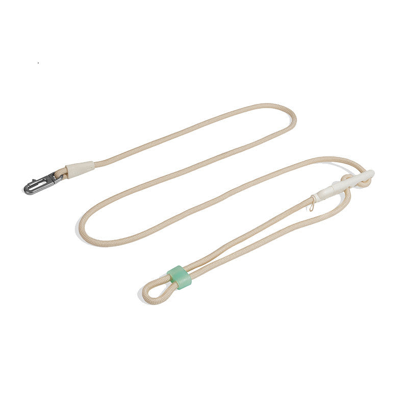 Minimalist Slant Style Pet Fashion Walking Leash