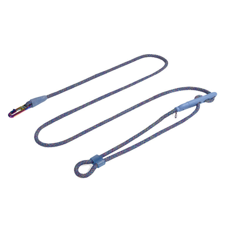 Minimalist Slant Style Pet Fashion Walking Leash