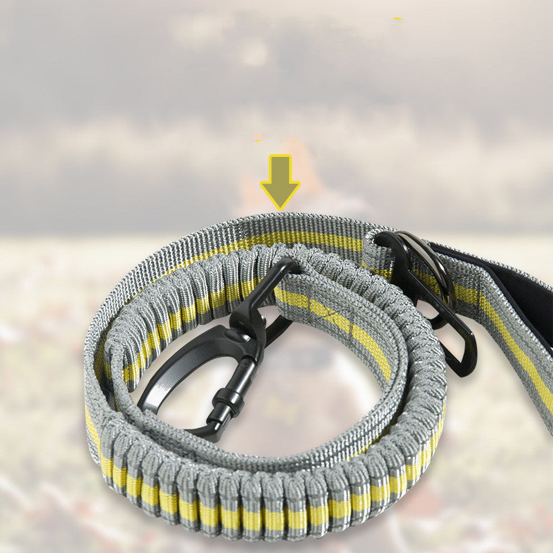 Fluorescent Retractable Pet Leash Explosion Proof Elastic Walking Lead