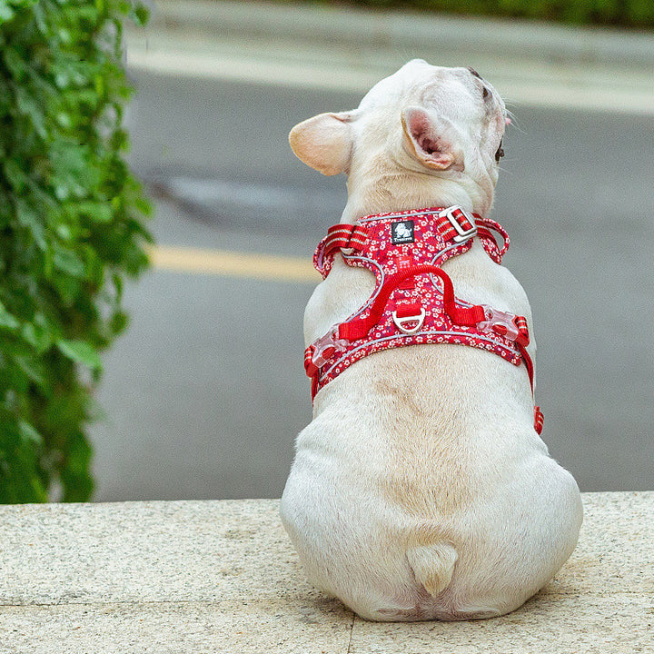 Vest Type Pet Chest Harness And Leash Set