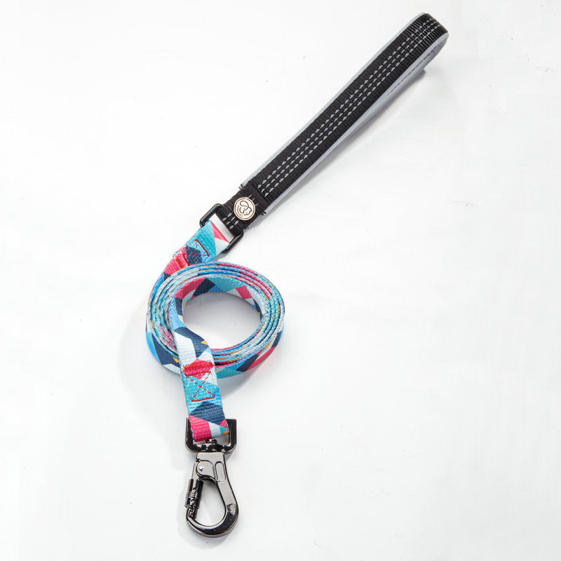 Durable Pet Leash Walking Lead Pet Supplies