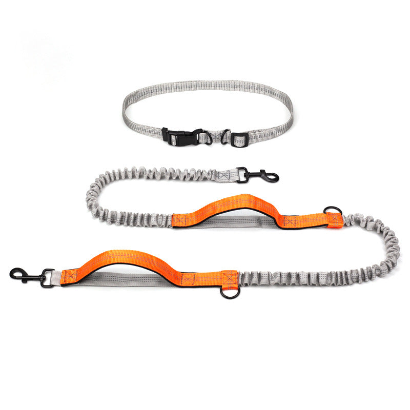 Outdoor Running Pet Leash For Training And Walking