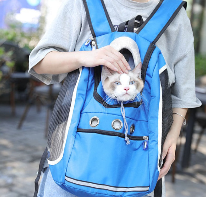 Portable Pet Outing Backpack Travel Carrier Bag