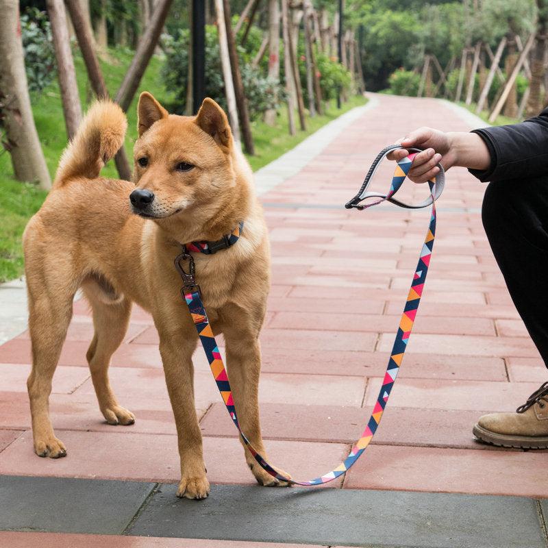 Durable Pet Leash Walking Lead Pet Supplies