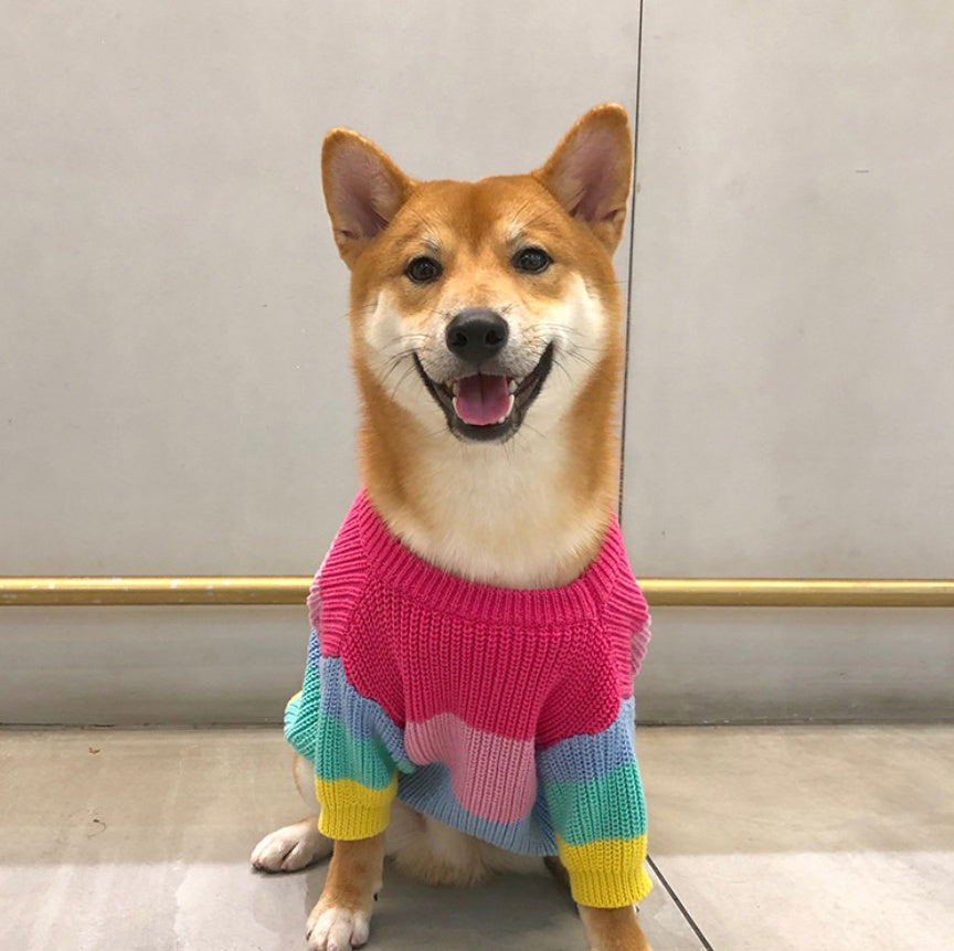 Rainbow Pet Sweater Colorful Small Breed Puppy Wear