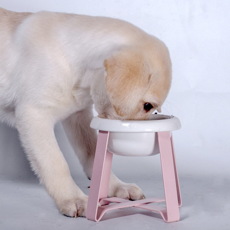 Pet Creative Anti Slip Feeding Bowl With Stand Supplies
