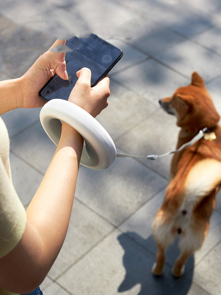 UFO Style Retractable Pet Leash For Small Medium Pet