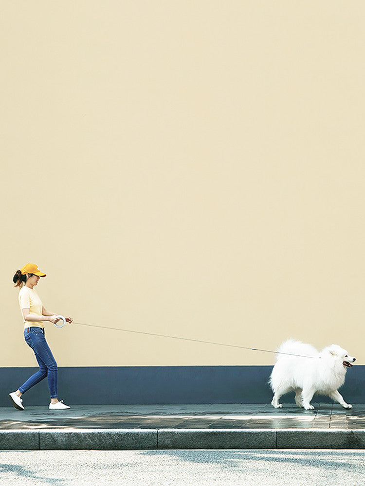 UFO Style Retractable Pet Leash For Small Medium Pet