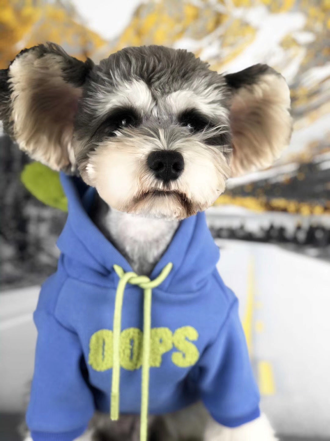 VIP Plush Velvet Pet Sweater Warm Cozy Apparel