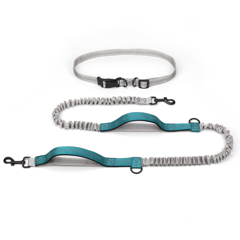 Outdoor Running Pet Leash For Training And Walking