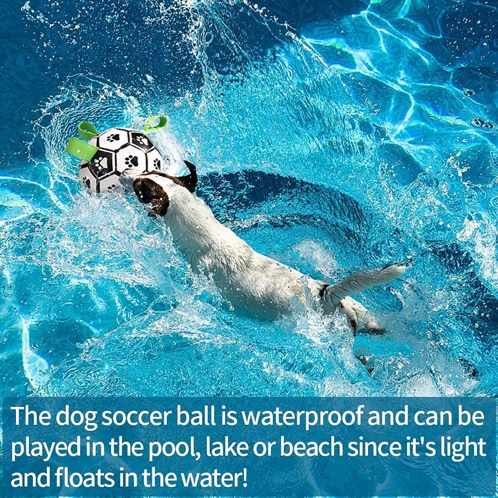 Interactive Outdoor Pet Football Training Ball For Large Pets