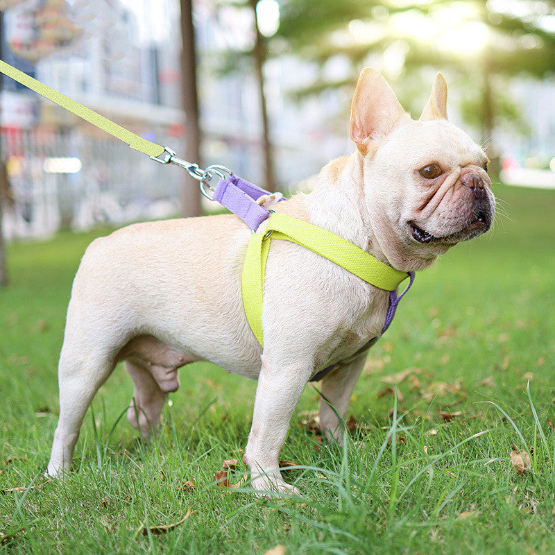 Colorful Pet Drawstring Vest Style Retractable Leash