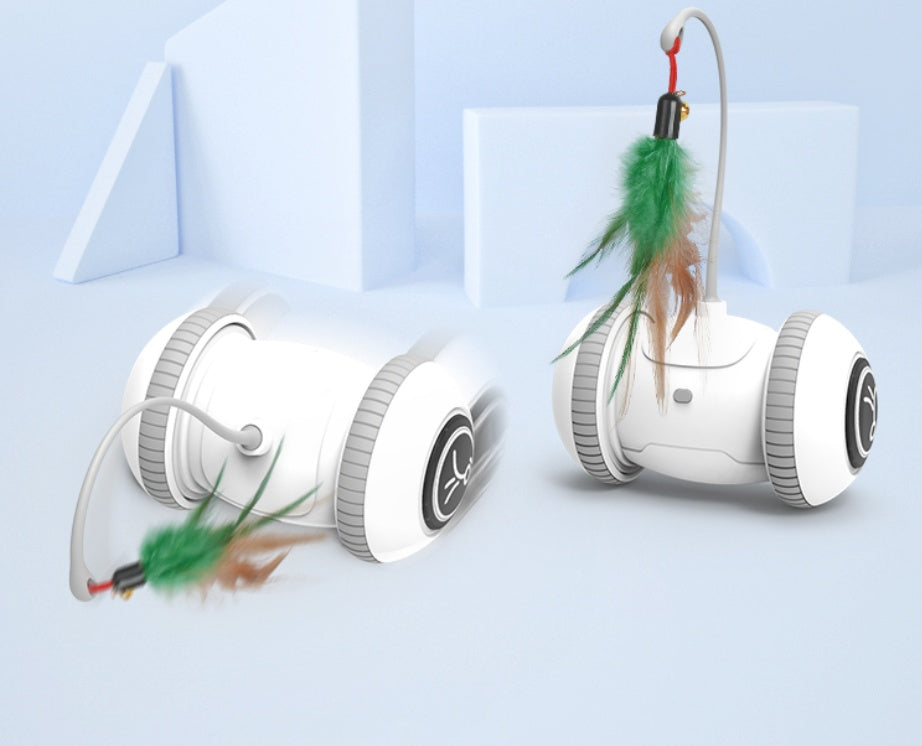 Interactive Feather Head Pet Teaser Toy