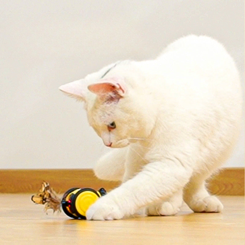 Electric Interactive Moving Pet Teaser Toy