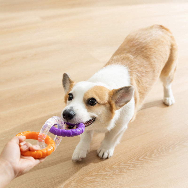 Floating Water Flying Disc Ring Durable Interactive Pet Toy