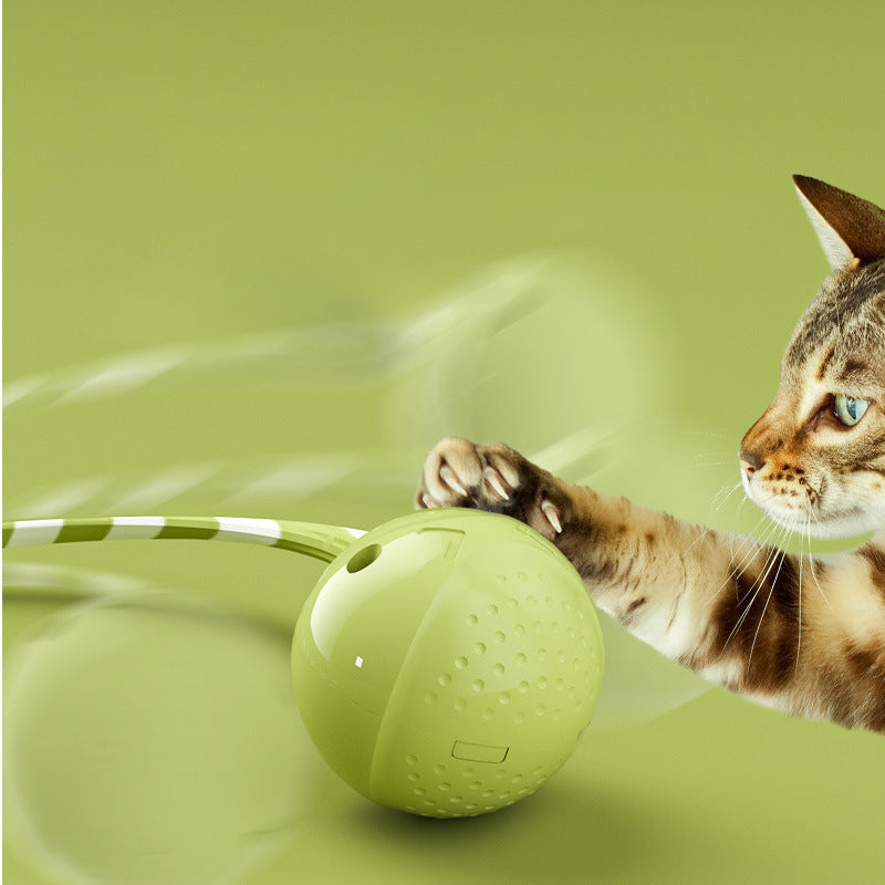 Interactive Motion Activated Pet Ball Toy With Touch Sensor