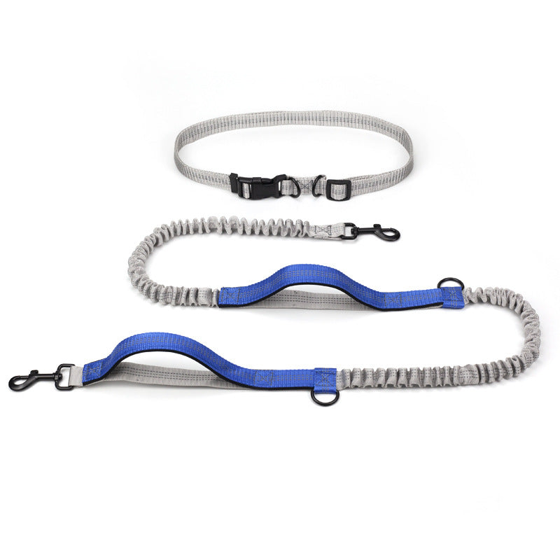 Outdoor Running Pet Leash For Training And Walking