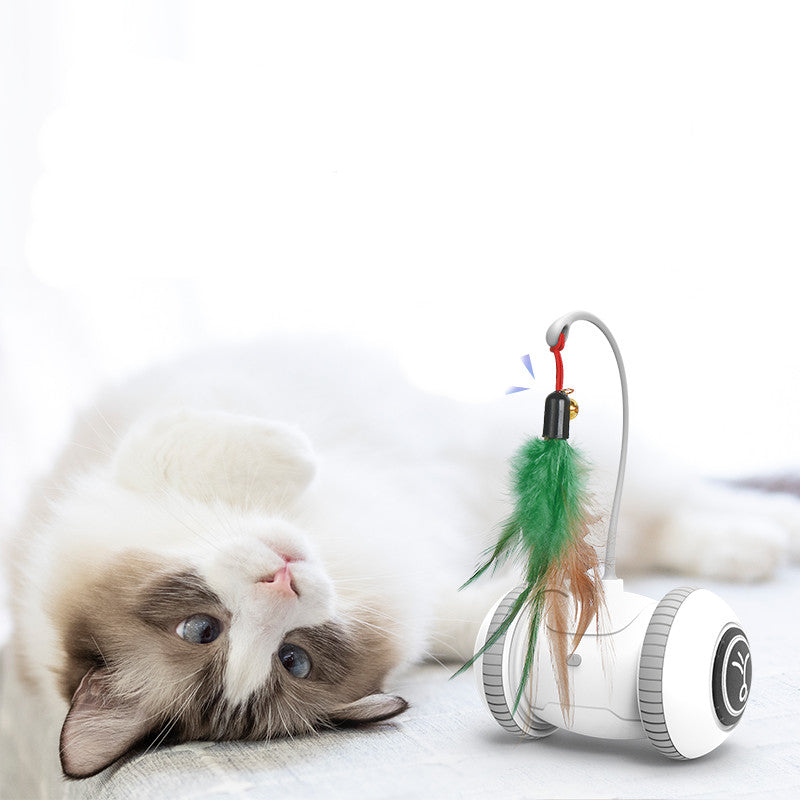 Interactive Feather Head Pet Teaser Toy
