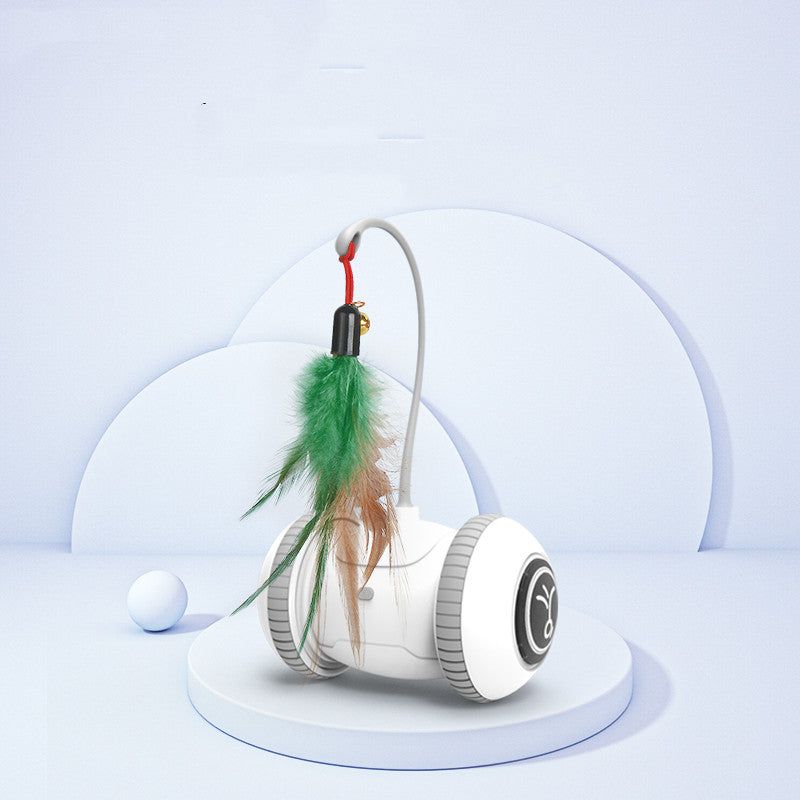 Interactive Feather Head Pet Teaser Toy