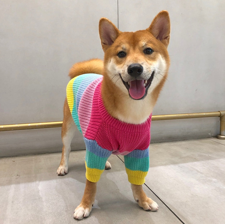 Rainbow Pet Sweater Colorful Small Breed Puppy Wear