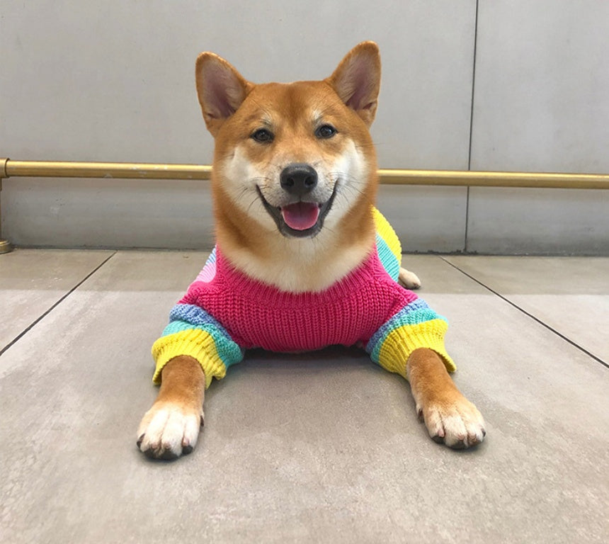 Rainbow Pet Sweater Colorful Small Breed Puppy Wear