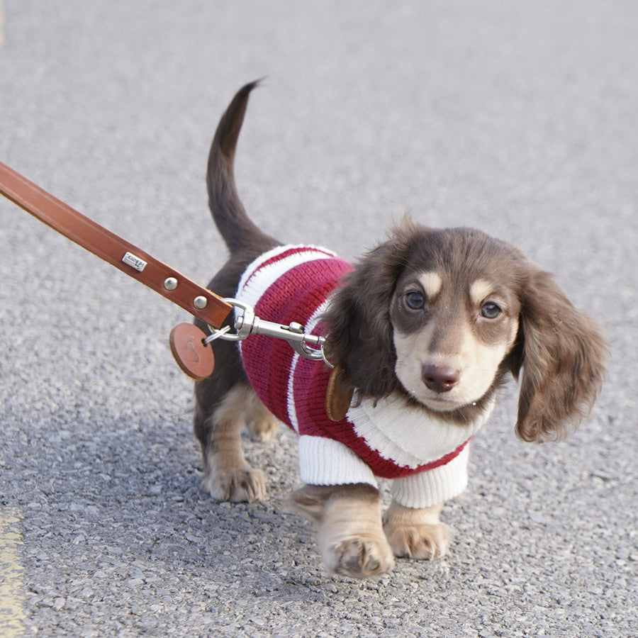 Warm Thickened Pet Sweater Cozy Small Breed Wear