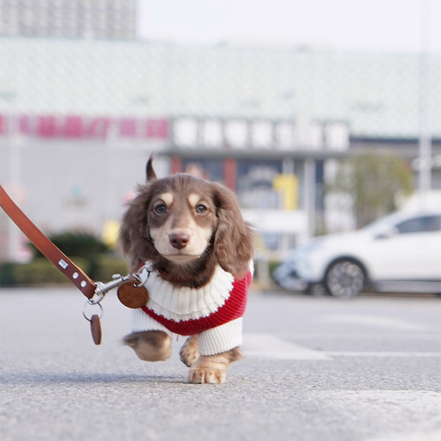 Warm Thickened Pet Sweater Cozy Small Breed Wear