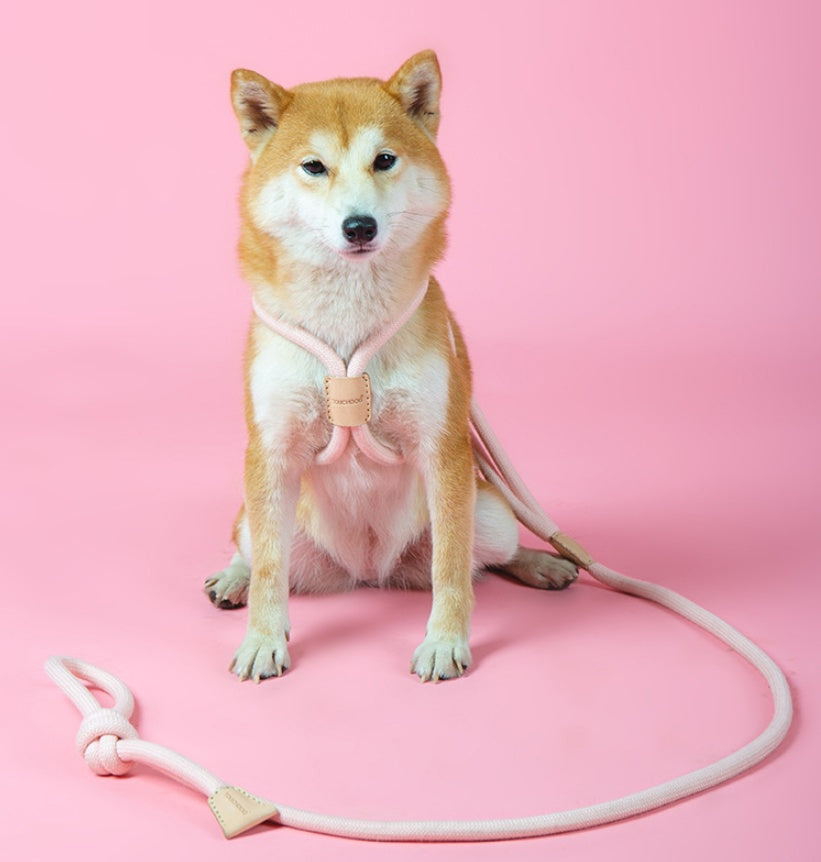 Dual Purpose Integrated Round Rope Pet Leash Set
