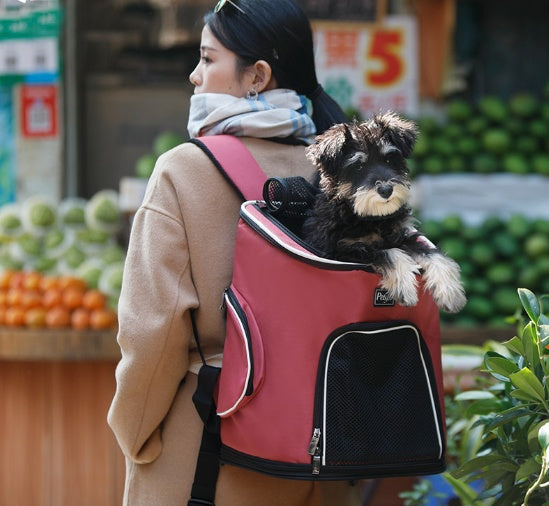 Portable Pet Backpack Travel Carrier For Pet