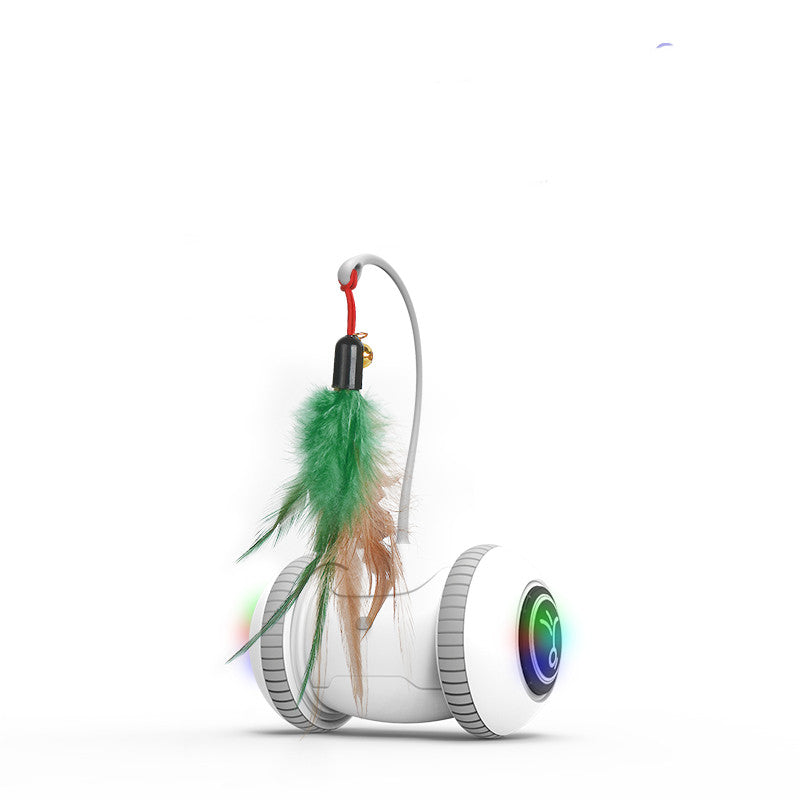 Interactive Feather Head Pet Teaser Toy