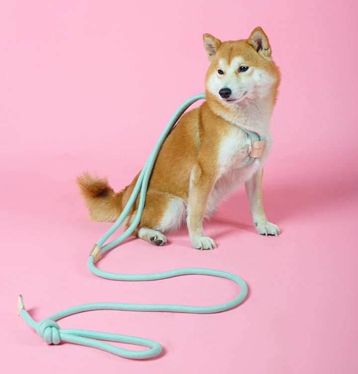 Dual Purpose Integrated Round Rope Pet Leash Set