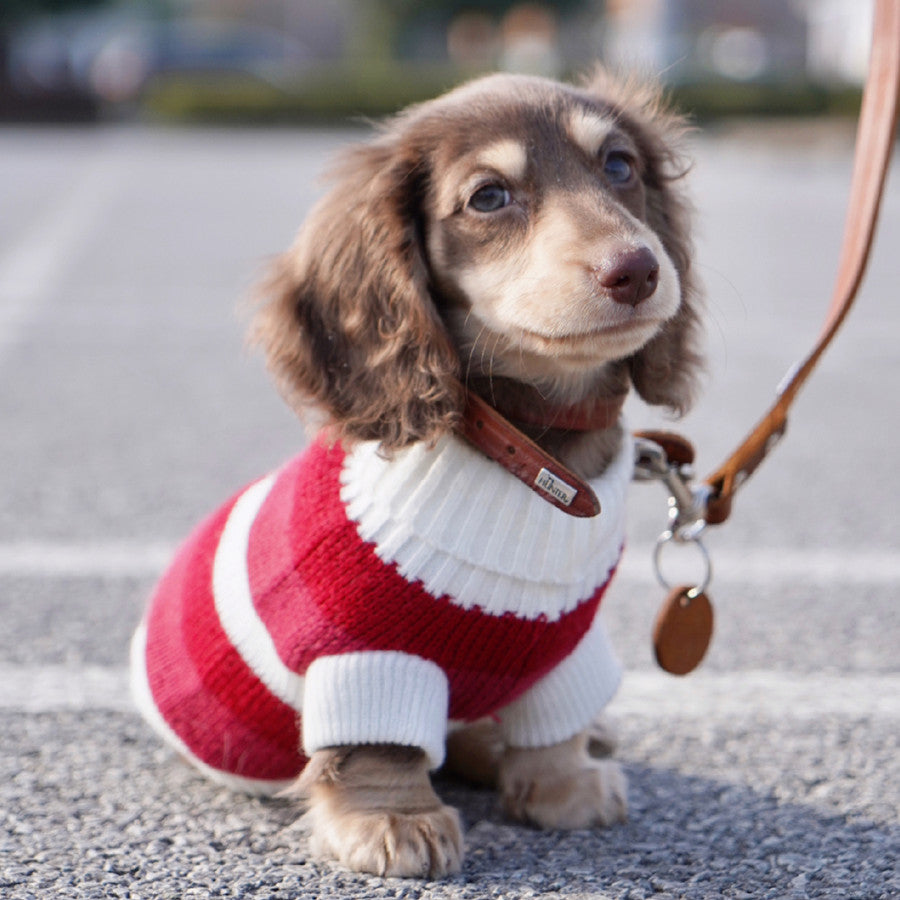 Warm Thickened Pet Sweater Cozy Small Breed Wear