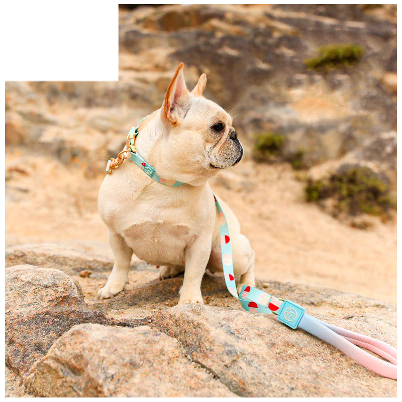 Fashion Y Shaped Pet Chest Harness Leash System
