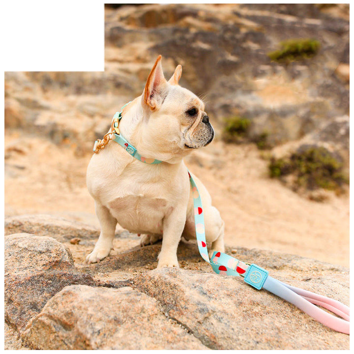 Fashion Y Shaped Pet Chest Harness Leash System