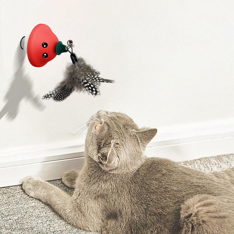 Retractable Suction Cup Interactive Pet Wand Teaser Toy