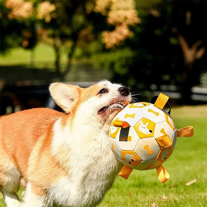 Interactive Football Pet Toy Outdoor Training Chew Ball