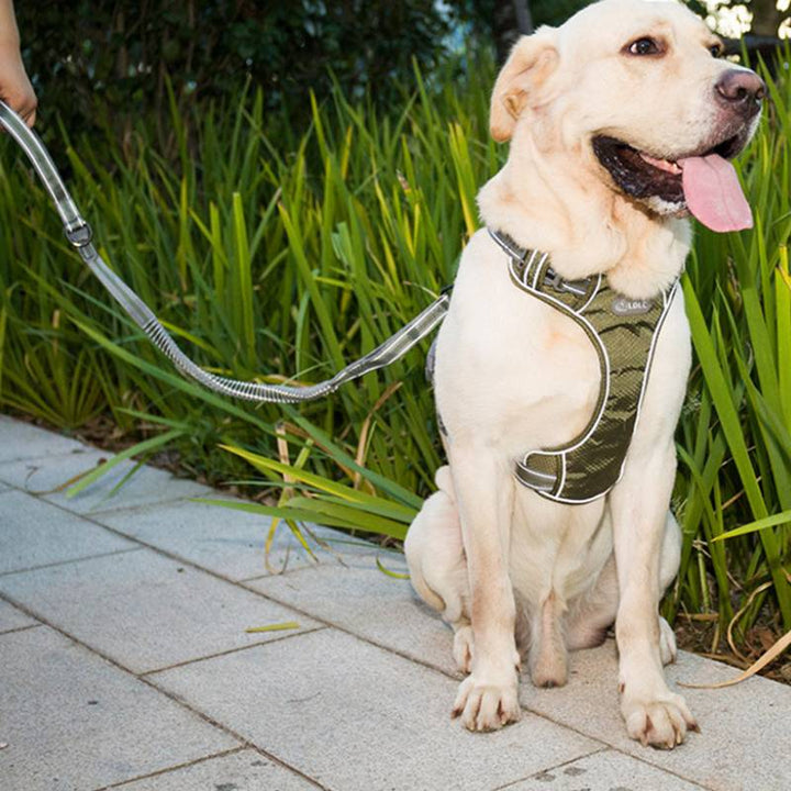 Fluorescent Retractable Pet Leash Explosion Proof Elastic Walking Lead