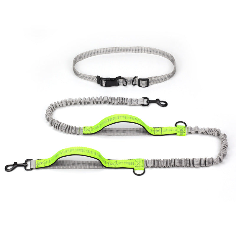 Outdoor Running Pet Leash For Training And Walking