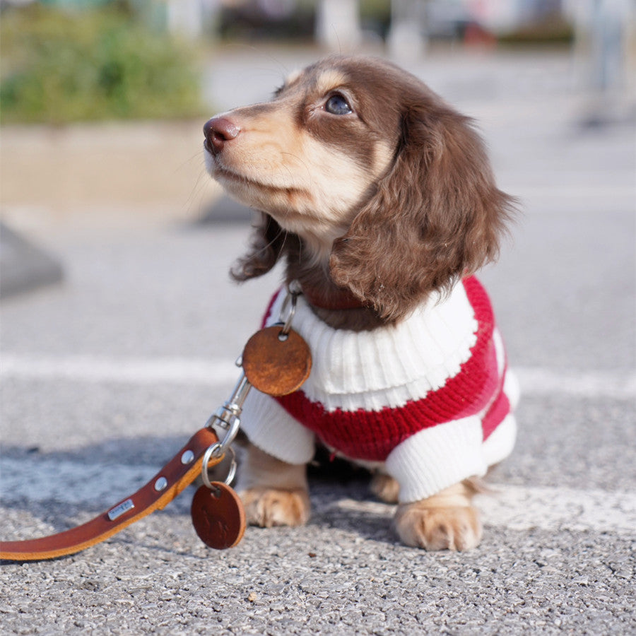 Warm Thickened Pet Sweater Cozy Small Breed Wear