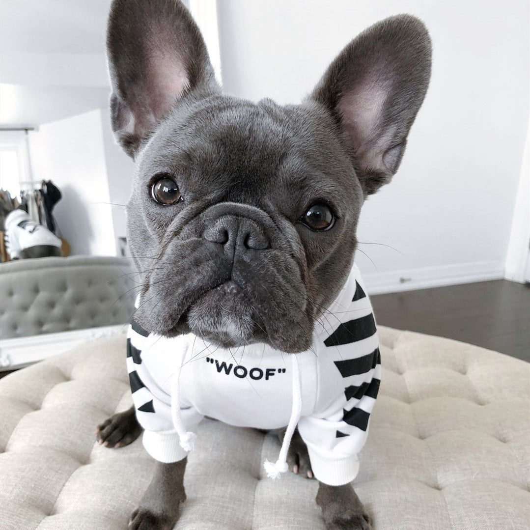 Trendy Three Stripe Pet Sweater Sporty Autumn Winter Wear