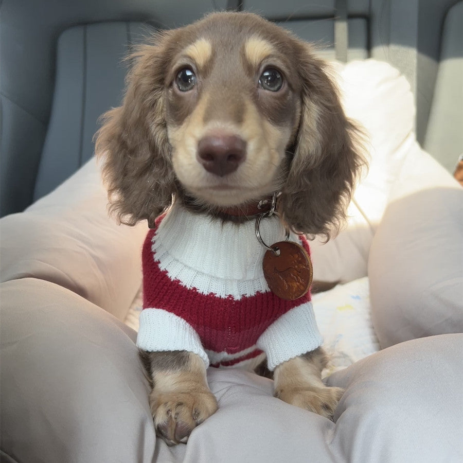 Warm Thickened Pet Sweater Cozy Small Breed Wear