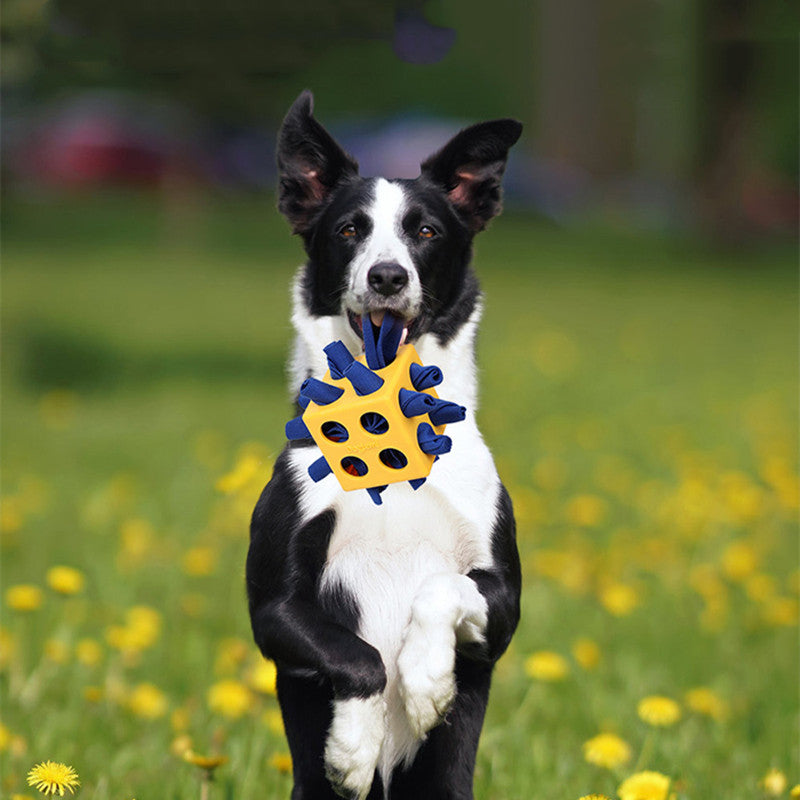 Long Lasting Educational Pet Chew Cube Toy