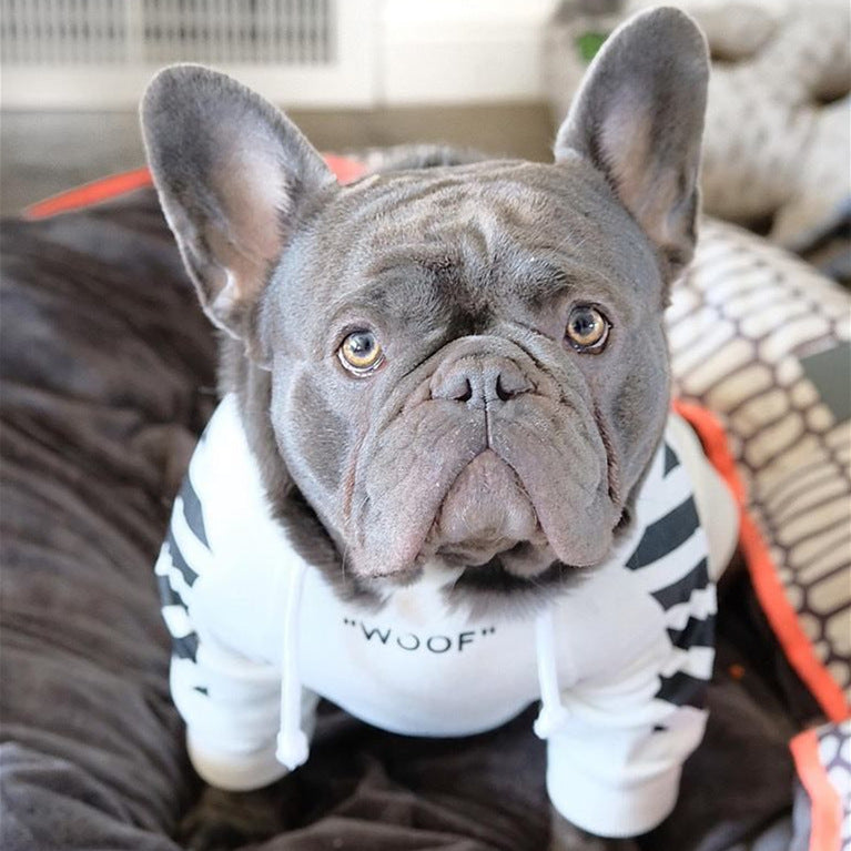 Trendy Three Stripe Pet Sweater Sporty Autumn Winter Wear