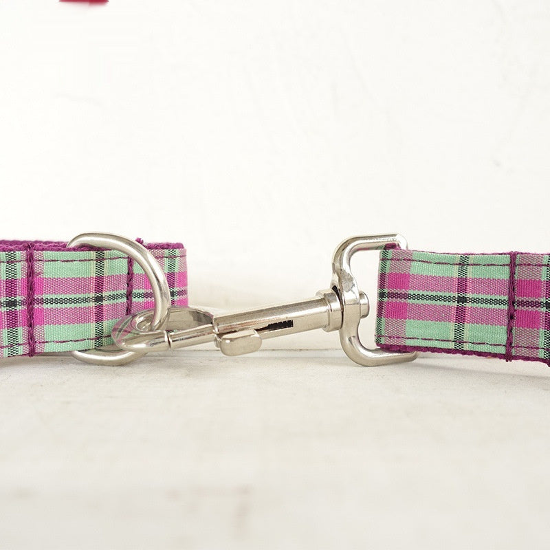Tear Resistant Pet Collar Traction Leash Durable Walking Lead